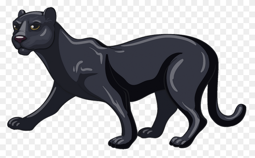 27 Panther Reference Ideas | Panthe