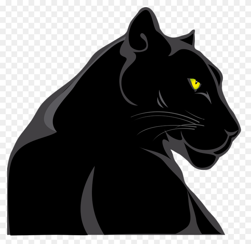 27 Panther Reference Ideas | Panthe