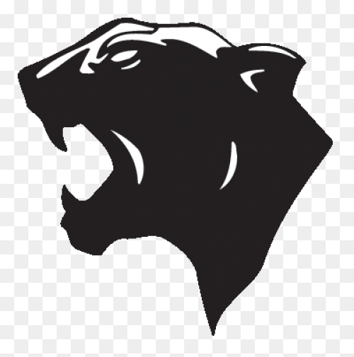 27 Panther Reference Ideas | Panthe