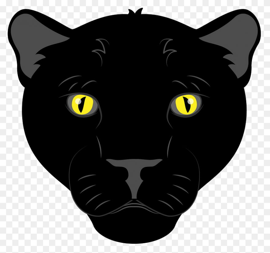27 Panther Reference Ideas | Panthe
