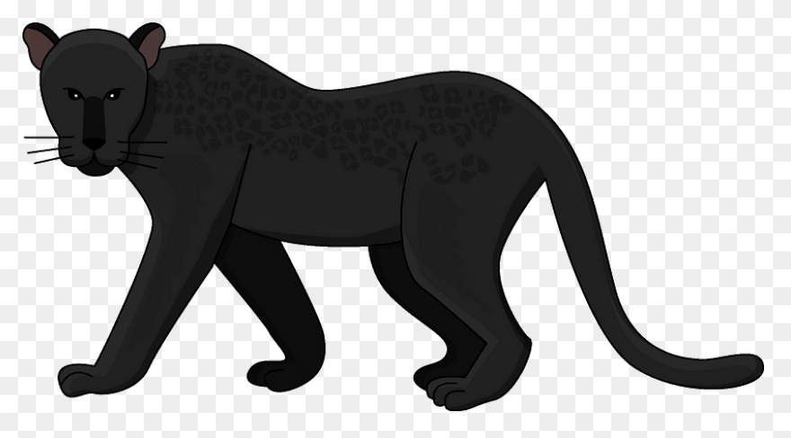 27 Panther Reference Ideas | Panthe