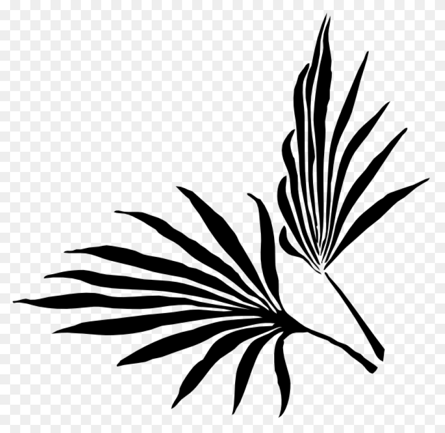 Areca Palm Leaf Illustration #ad , 