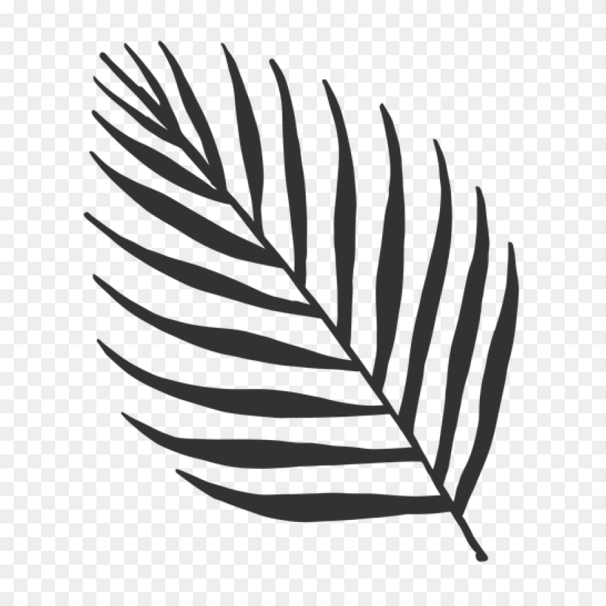 Areca Palm Leaf Illustration #ad , 