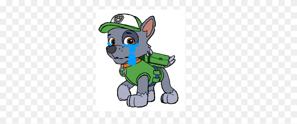 Paw Patrol Rocky | Rainbow Eevee Wi