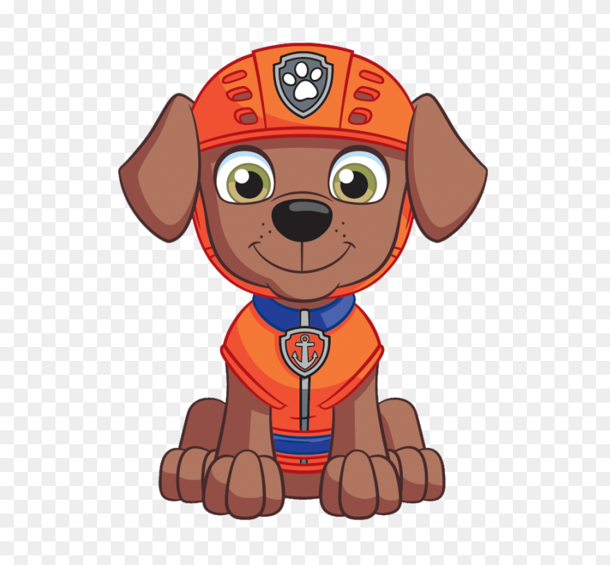 Paw Patrol Rocky | Rainbow Eevee Wi