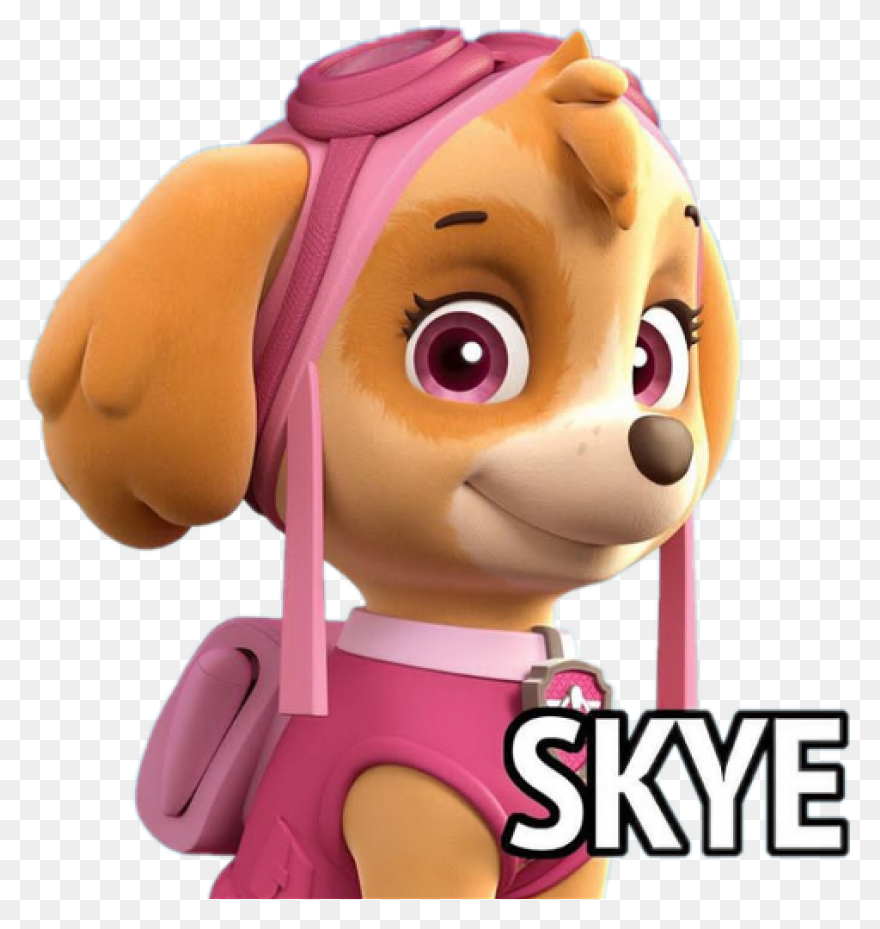 Paw Patrol | Spin Master | Spin Mas