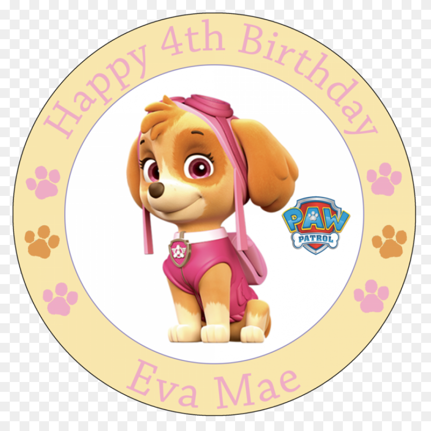 Paw Patrol | Spin Master | Spin Mas