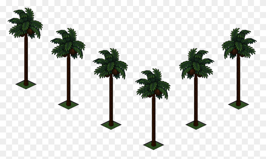Palmeras Attalea Speciosa Clipart Large - Palmeras