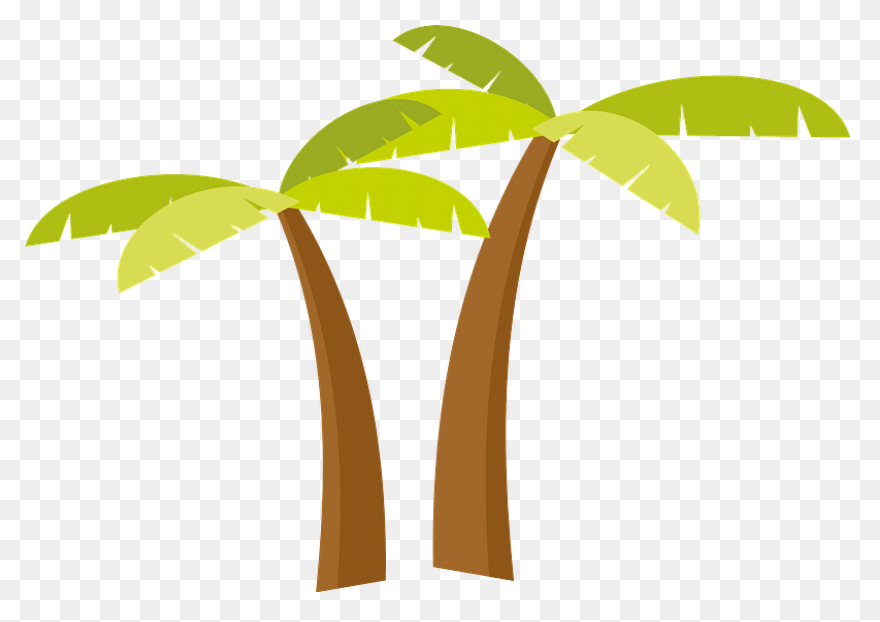 Palmeras - Attalea Speciosa Clipart