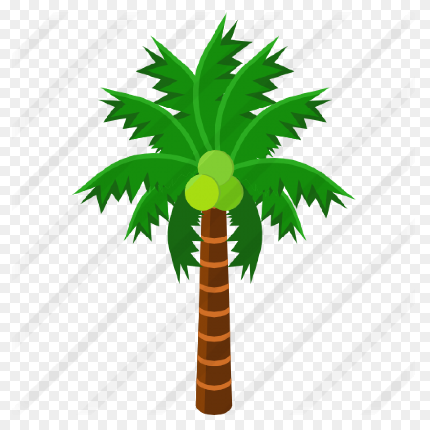 Palmeras - Attalea Speciosa Clipart