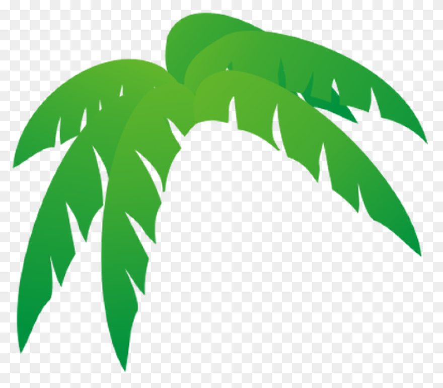 Palmeras - Attalea Speciosa Clipart