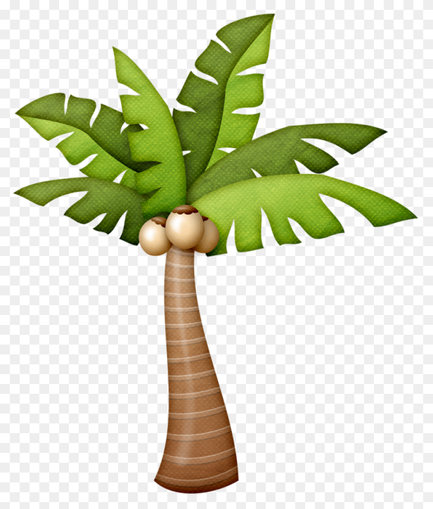 Palmeras - Attalea Speciosa Clipart