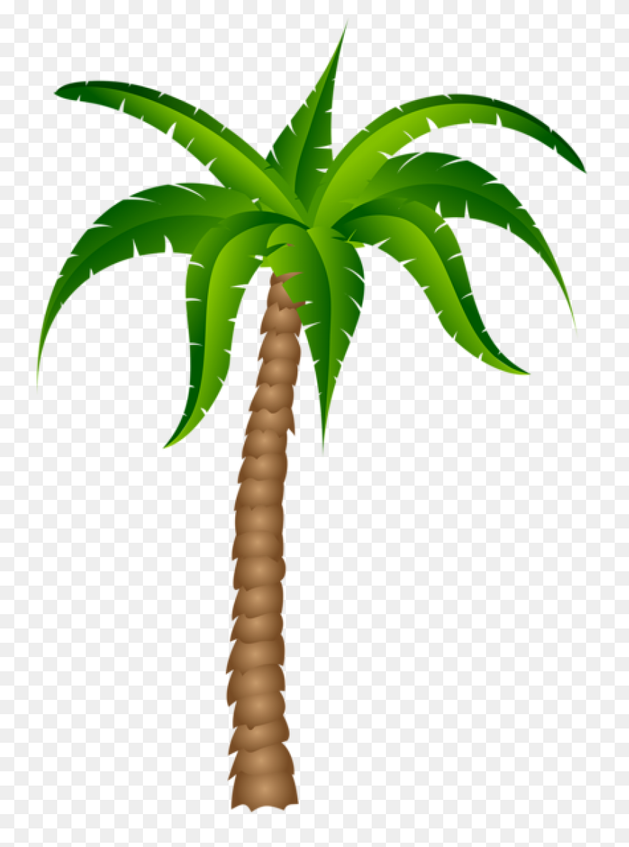 Palm Tree Emoji Icon Png Transparen