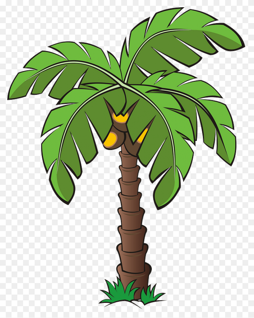 Palm Tree Emoji Icon Png Transparen