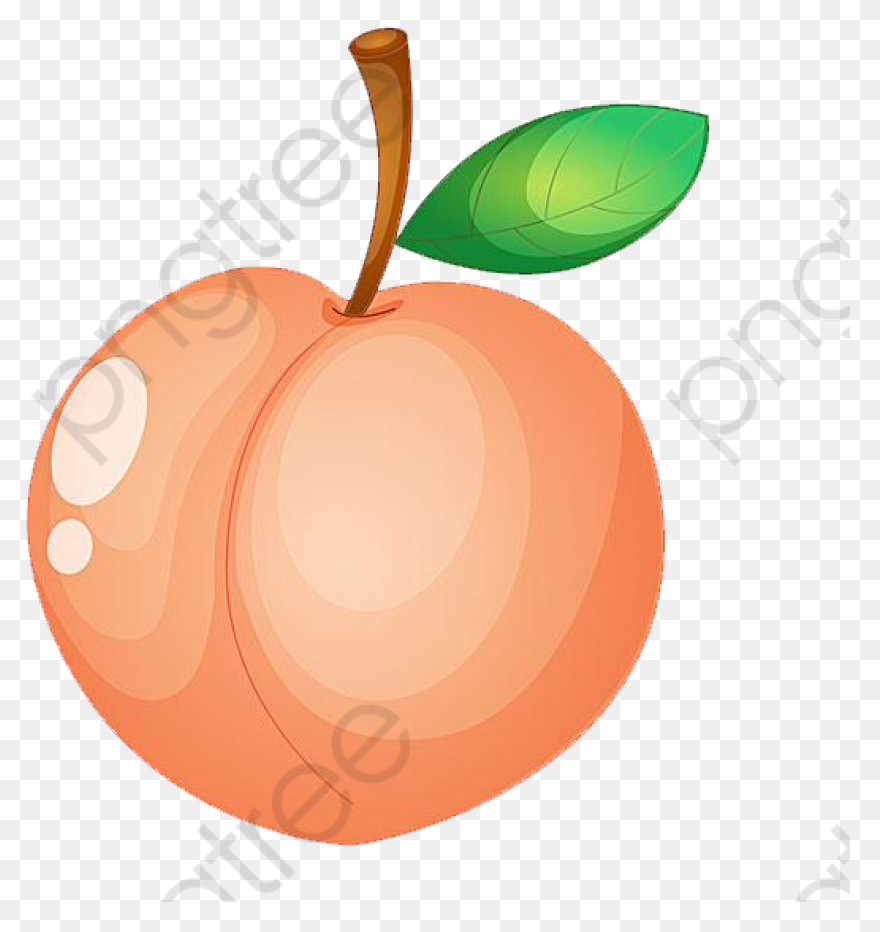 Cute Peach Clipart ClipartFlare - C