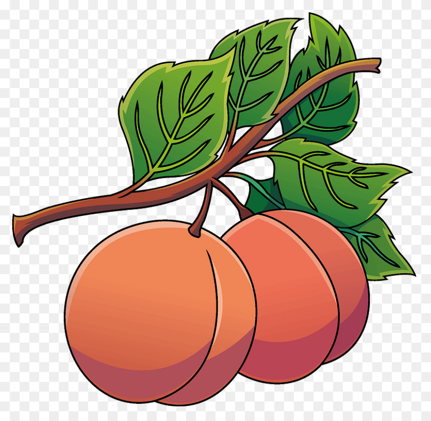 Cute Peach Clipart ClipartFlare - C