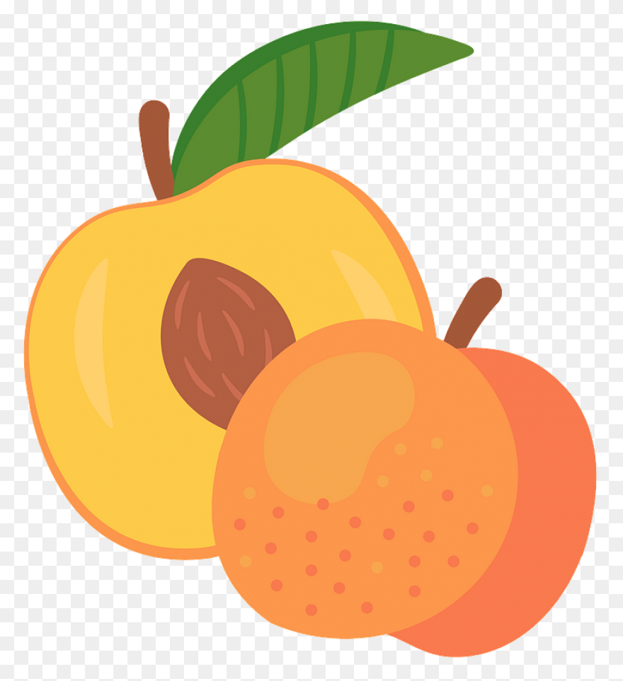 Cute Peach Clipart ClipartFlare - C