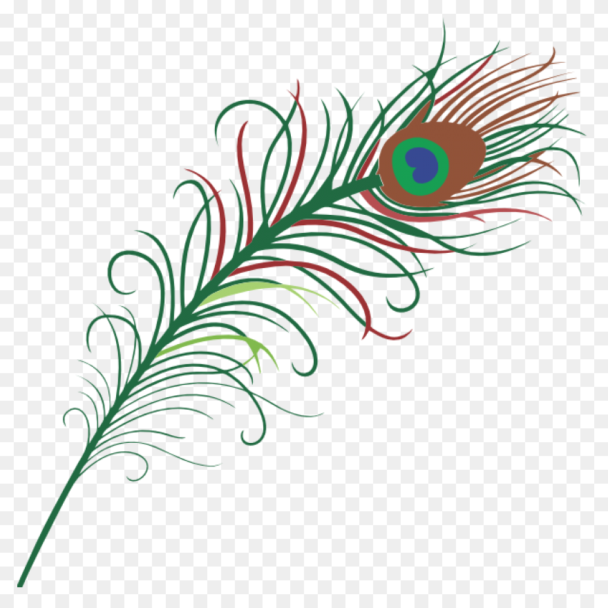 Peacock Feather Clipart | Free - Peacock Feather