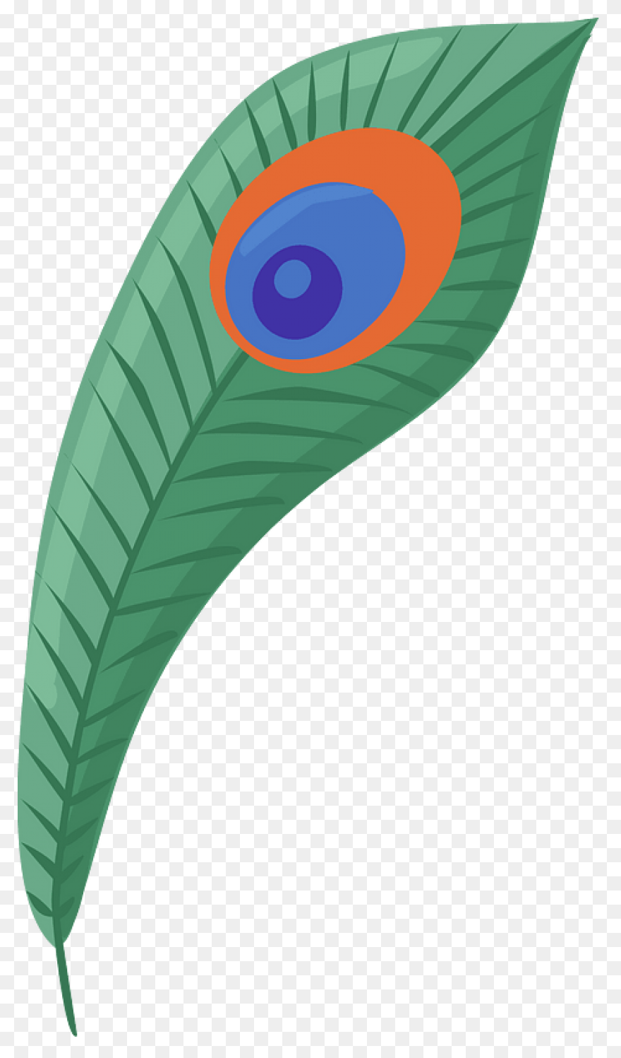 Peacock Feather Clip Art | ClipartF