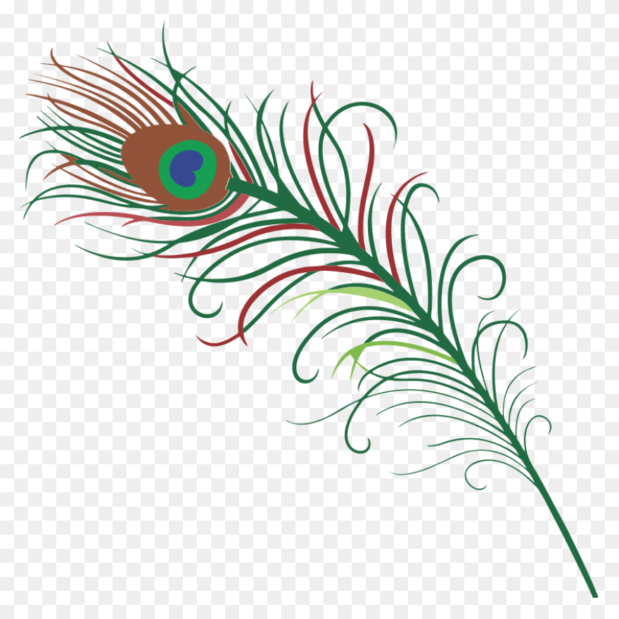 Peacock Feather Clip Art | ClipartF