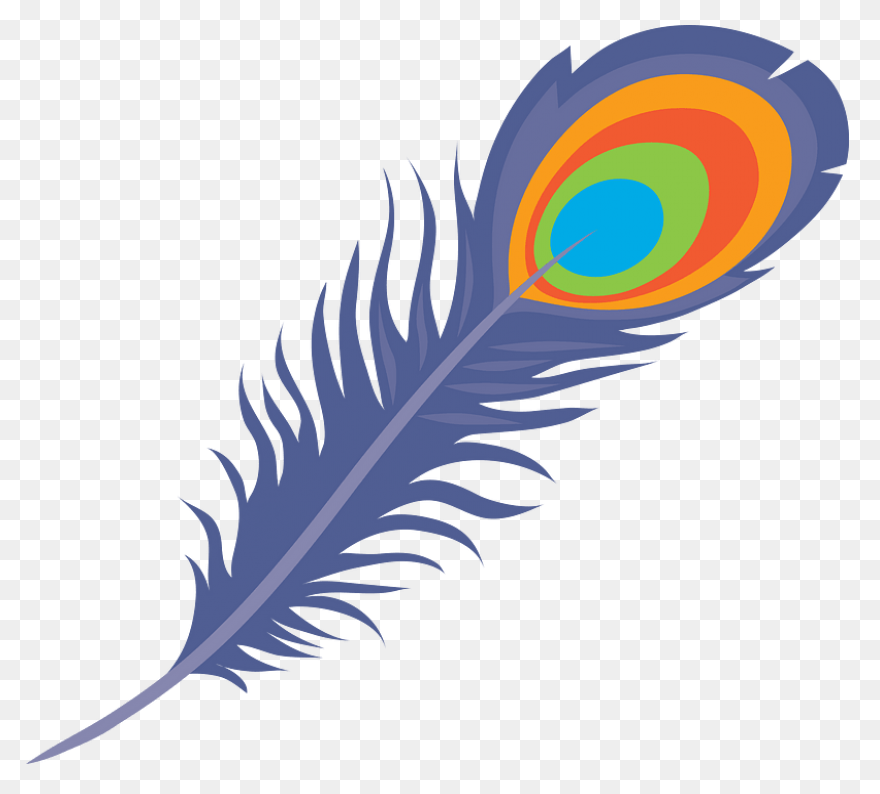 Peacock Feather Clip Art | ClipartF