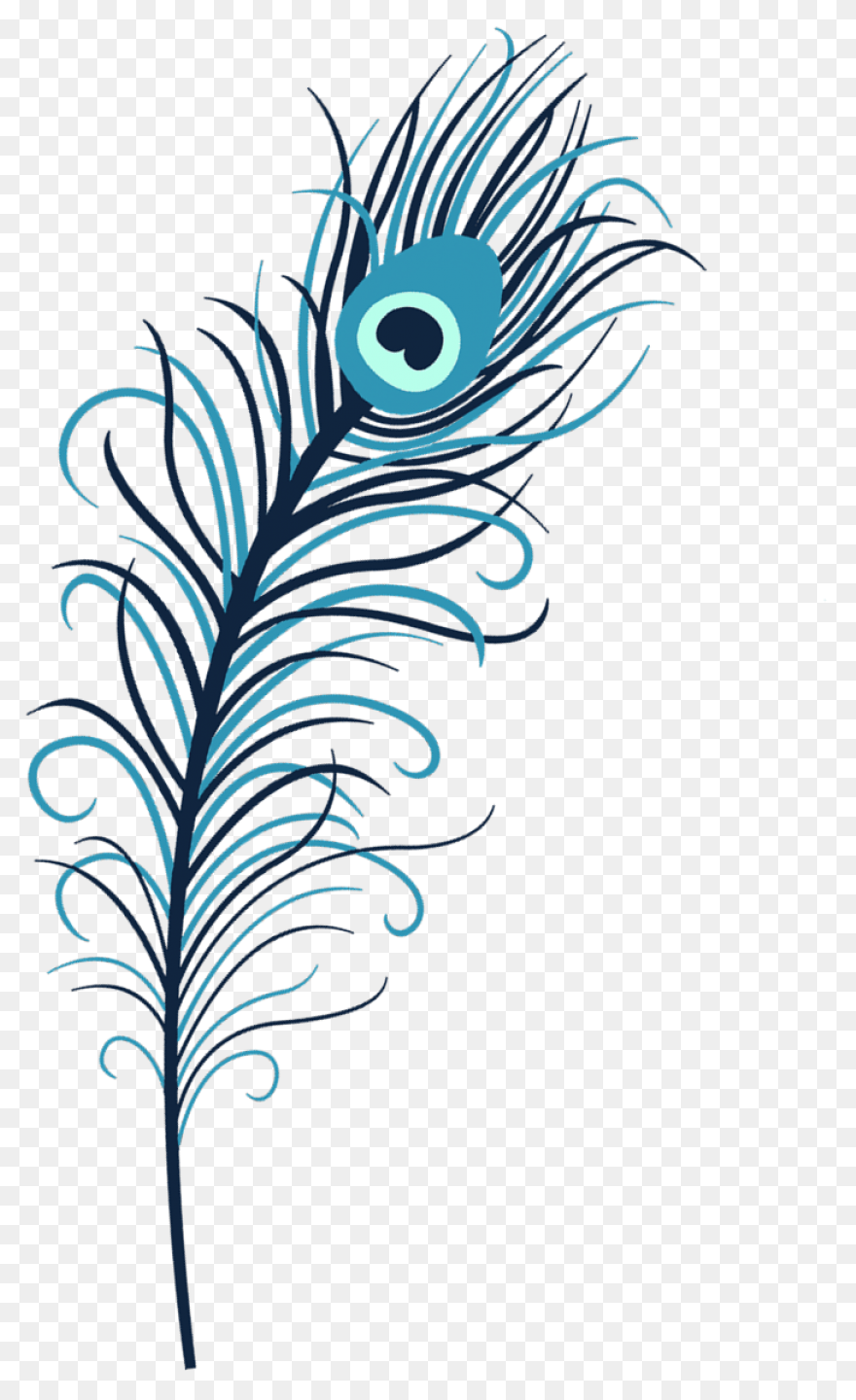Peacock Feather Clip Art | ClipartF