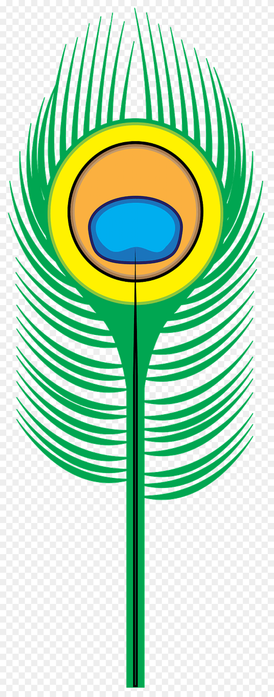 Peacock Feather Clip Art | ClipartF