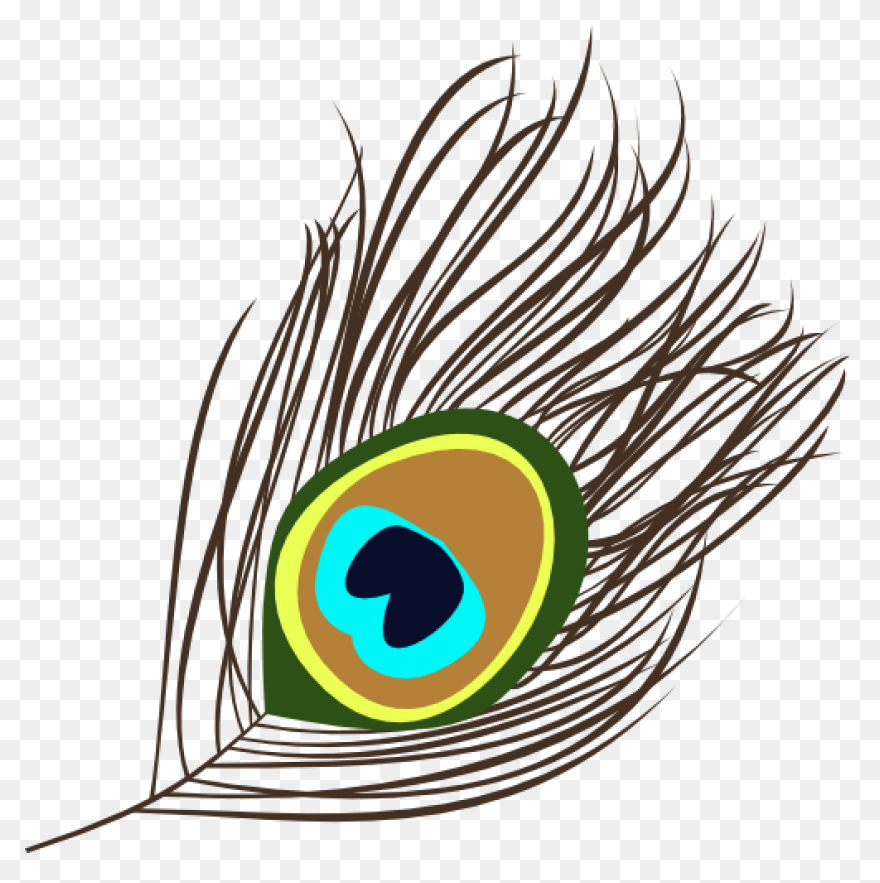 Peacock Feather Clip Art | ClipartF