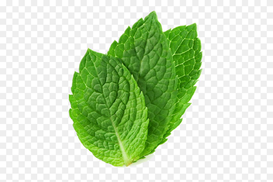 Green Peppermint Christmas Candy | 