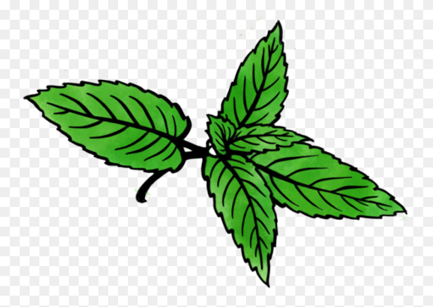 Green Peppermint Christmas Candy | 