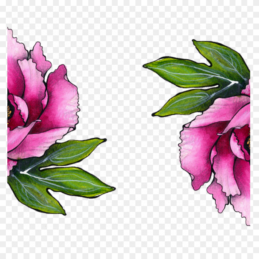 Download Peony Free Png Transparent
