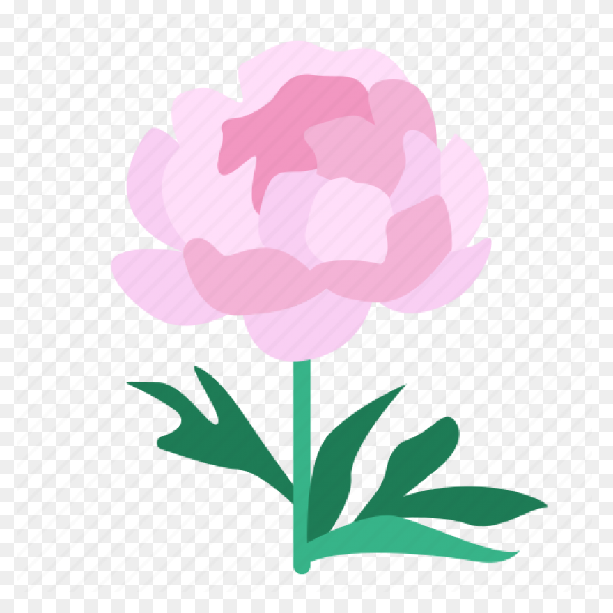 Download Peony Free Png Transparent