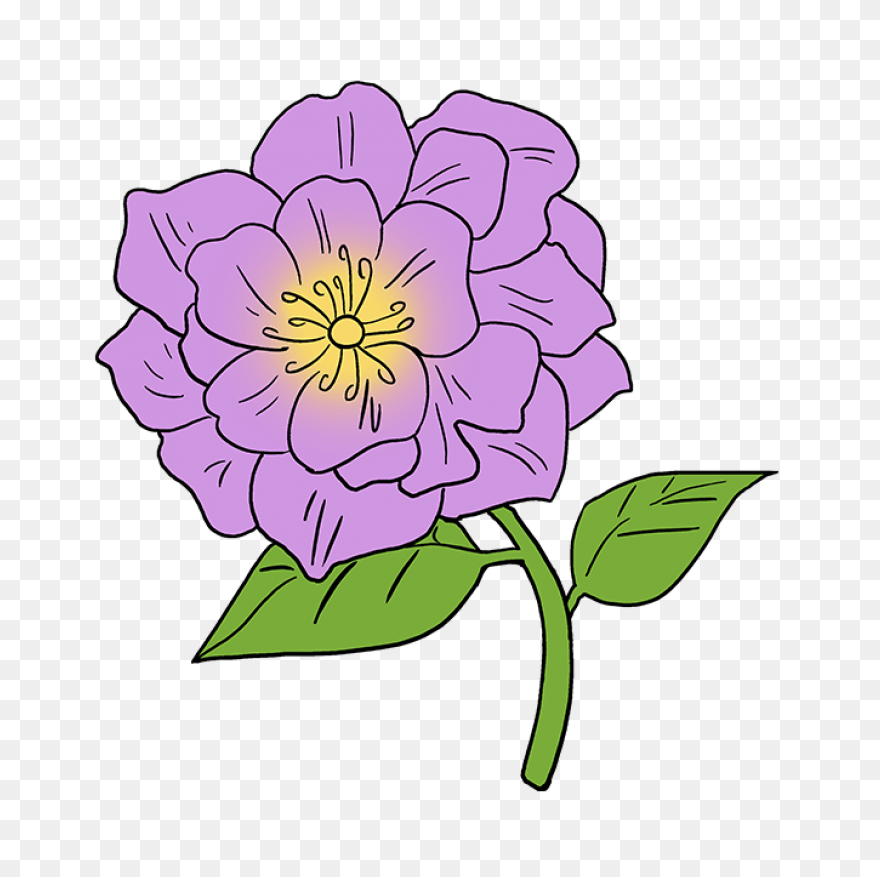 Peony Clipart. Free Download .png - Peony