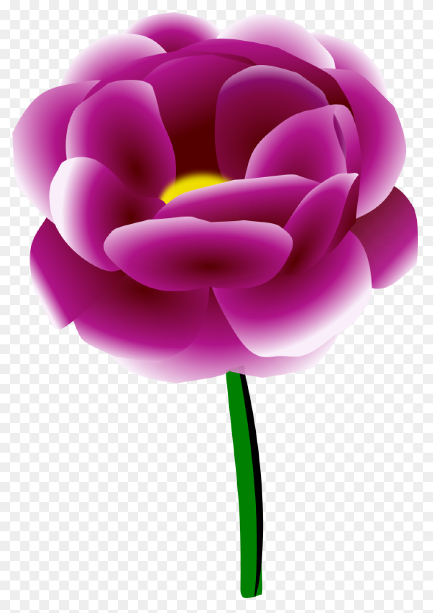 Download Peony Free Png Transparent