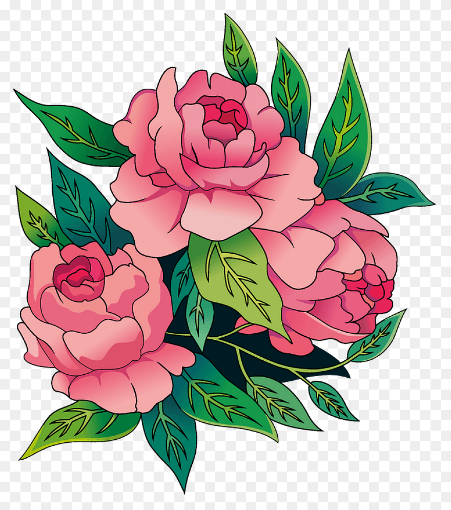 Download Peony Free Png Transparent