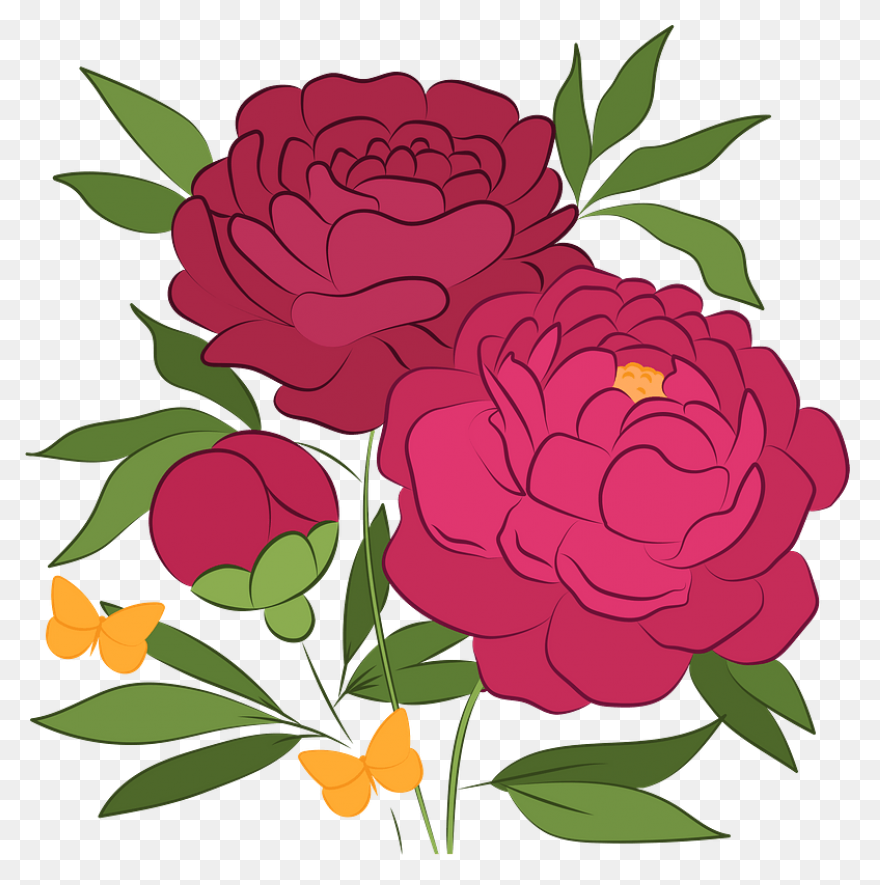 Download Peony Free Png Transparent