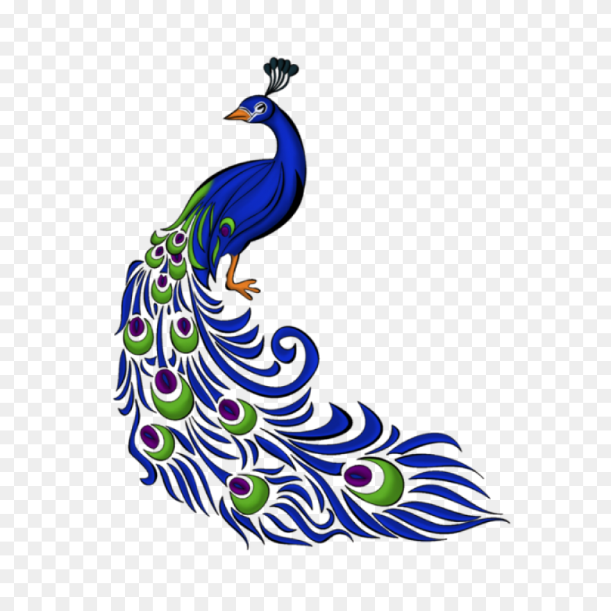 Peacock Clipart - Png Download - Fu