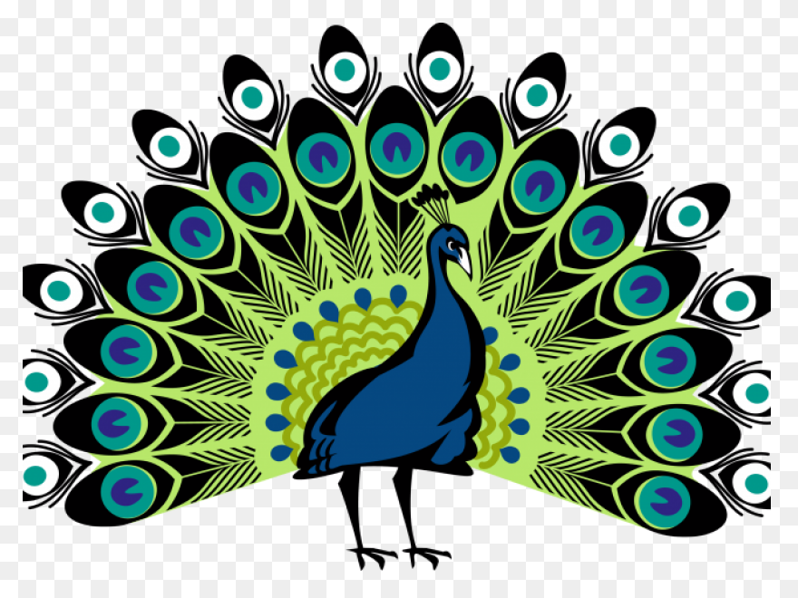 Peacock Clipart - Png Download - Fu