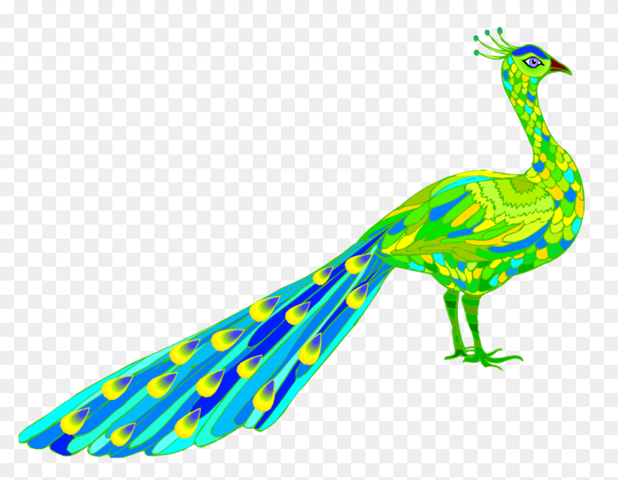 Peacock Clipart - Png Download - Fu