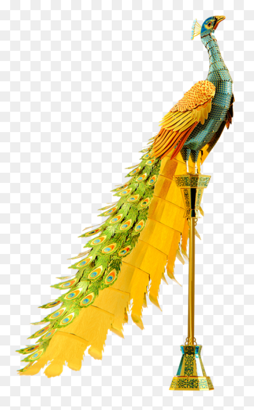 Peacock Clipart - Png Download - Fu