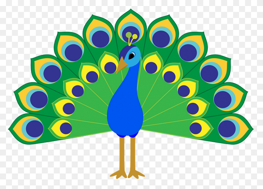 Peacock Clipart. Free Download .png - Peacock