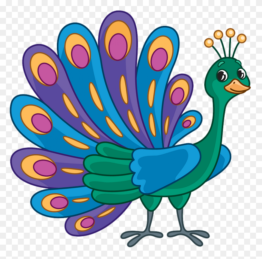 Peacock Clipart - Png Download - Fu