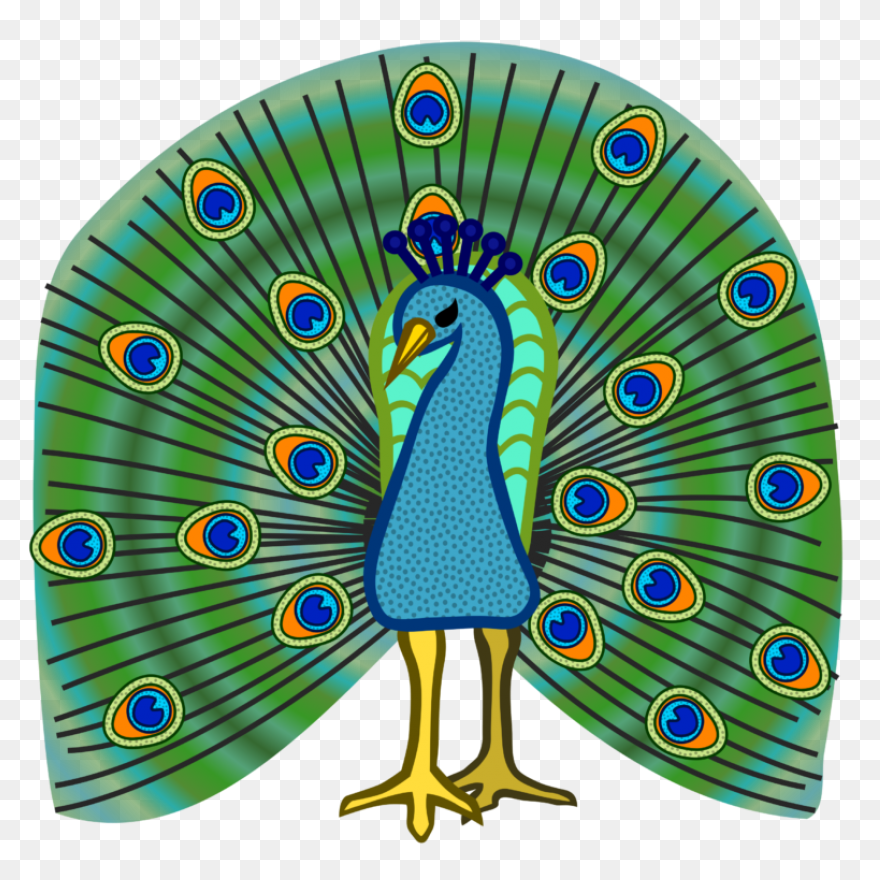 Peacock Clipart - Png Download - Fu