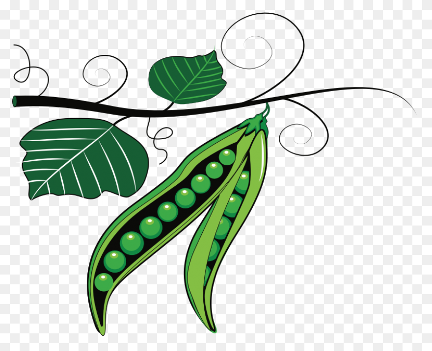 Peas In A Pod Clipart - Full Size C