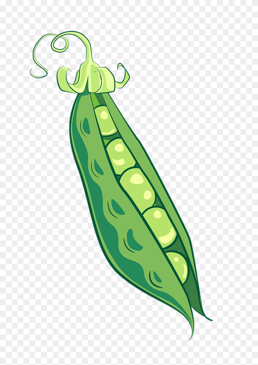 Peas In A Pod Clipart - Full Size C