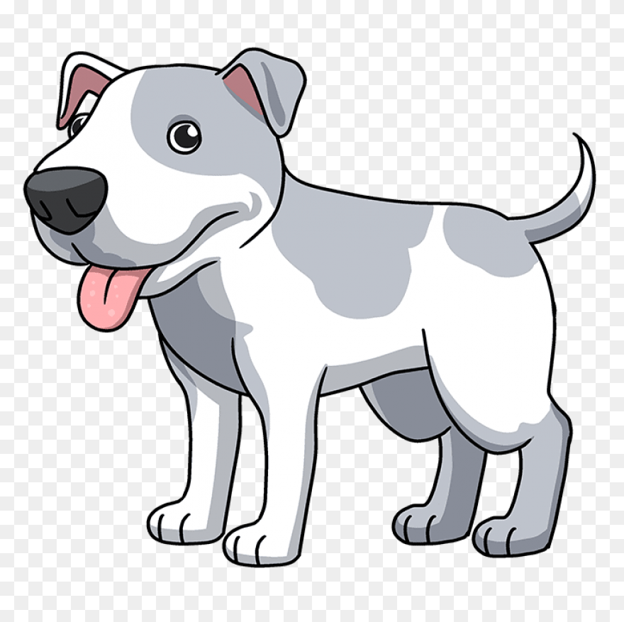 American Pit Bull Terrier American 
