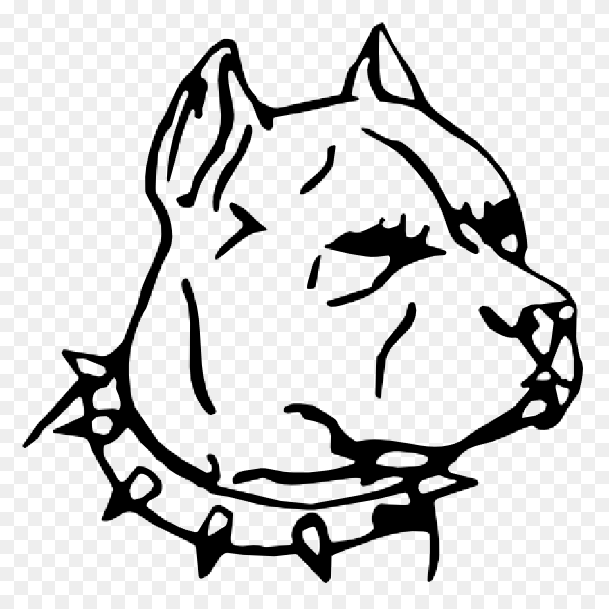 American Pit Bull Terrier American 
