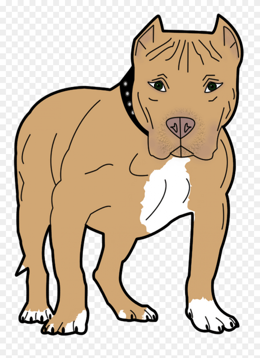 Pitbull Clipart. Free Download .png - Pitbull