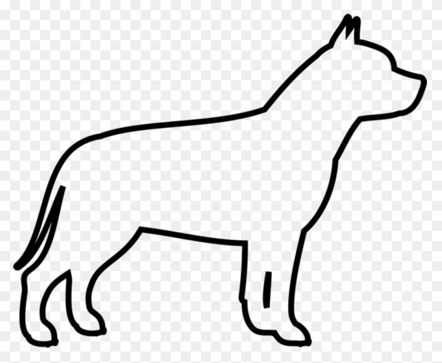 American Pit Bull Terrier American 