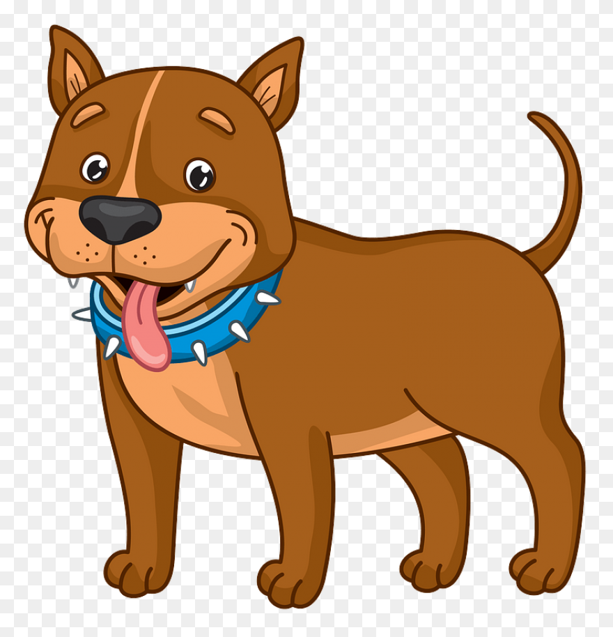 American Pit Bull Terrier American 